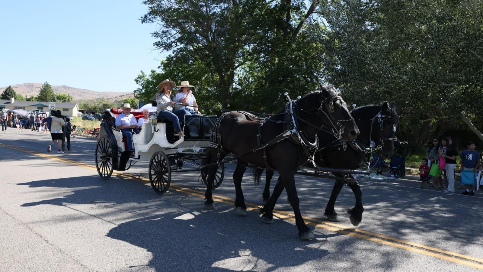 Horse-drawn carriage leading the Lamb Days parade down State Street