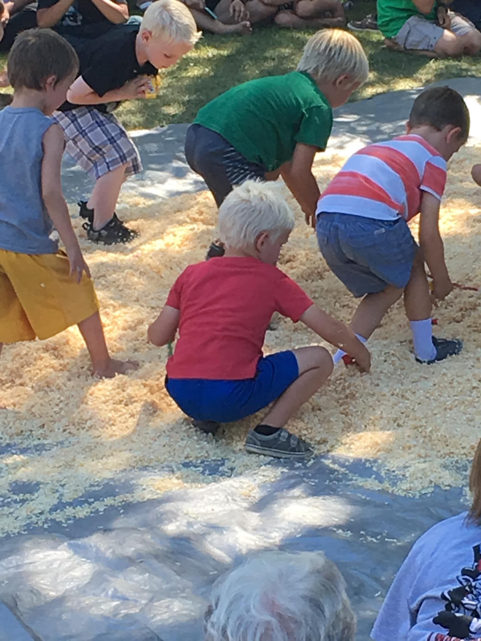 Kids digging in the saw dust dive